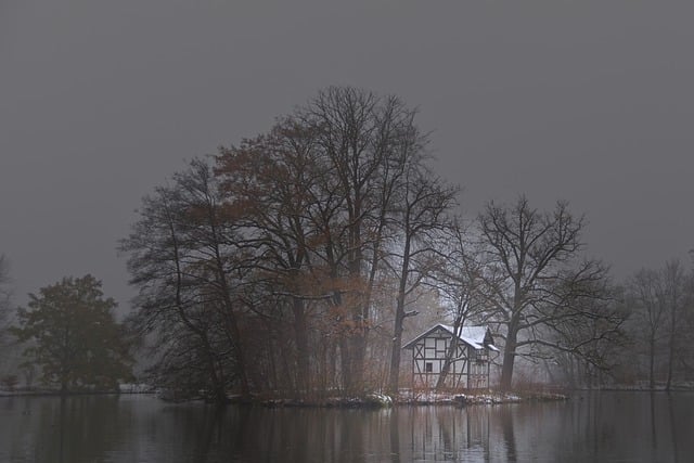 Kostenloser Download Park Lake Island Nebel Schnee kostenloses Bild, das mit dem kostenlosen Online-Bildeditor GIMP bearbeitet werden kann