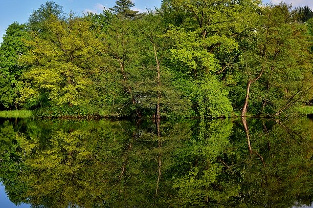 Безкоштовно завантажити Park Lake Mirroring - безкоштовне фото або зображення для редагування за допомогою онлайн-редактора зображень GIMP