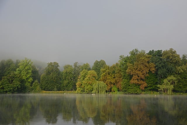 Free download park lake sunrise fog fall free picture to be edited with GIMP free online image editor