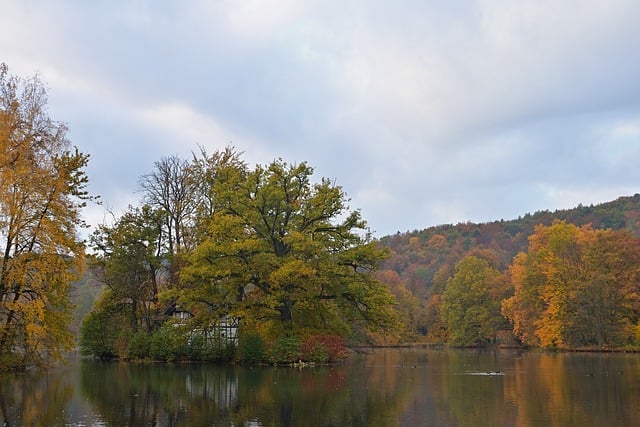 Free download park lake swan house island fall free picture to be edited with GIMP free online image editor