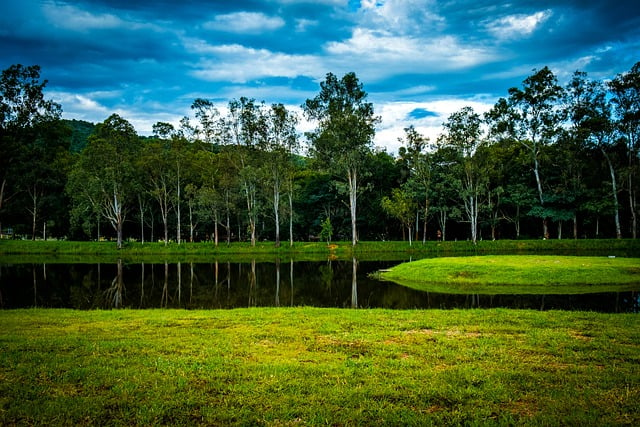 دانلود رایگان عکس پارک دریاچه درختان برزیل رایگان برای ویرایش با ویرایشگر تصویر آنلاین رایگان GIMP