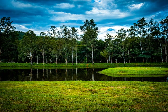 Free download park lake trees brazil nature free picture to be edited with GIMP free online image editor