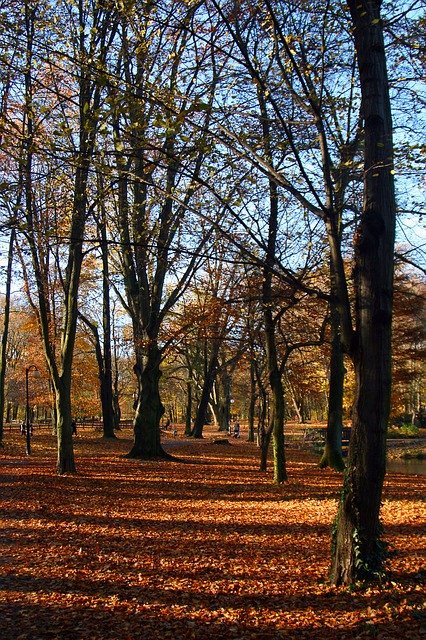 Free download Park Natura Landscape -  free photo or picture to be edited with GIMP online image editor