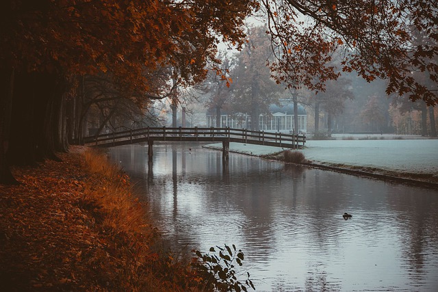 Free download park nature landscape autumn water free picture to be edited with GIMP free online image editor