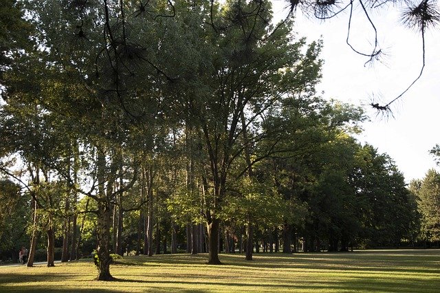 ดาวน์โหลดฟรี Park Nature Nopeople - ภาพถ่ายหรือรูปภาพฟรีที่จะแก้ไขด้วยโปรแกรมแก้ไขรูปภาพออนไลน์ GIMP