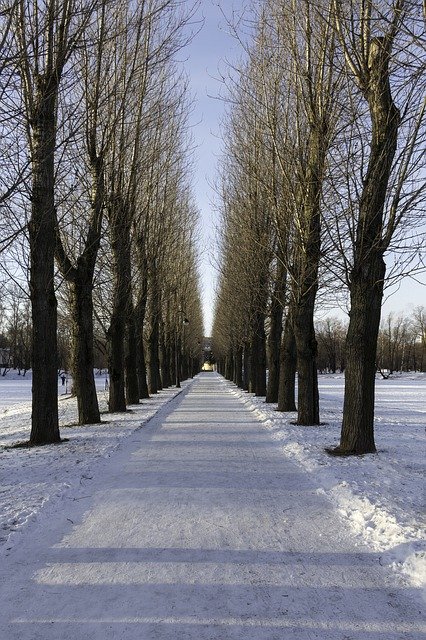 Bezpłatne pobieranie Park Peter Russia St Petersburg - bezpłatne zdjęcie lub obraz do edycji za pomocą internetowego edytora obrazów GIMP