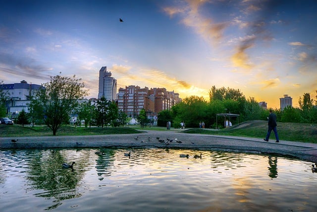 Free download park pond buildings birds summer free picture to be edited with GIMP free online image editor