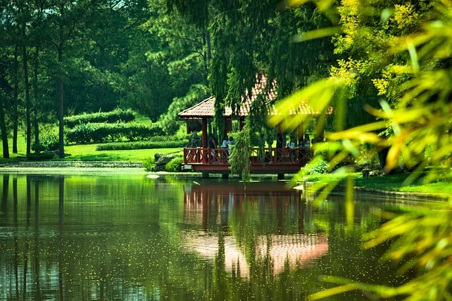 Free download park pond nature lake yard zen free picture to be edited with GIMP free online image editor