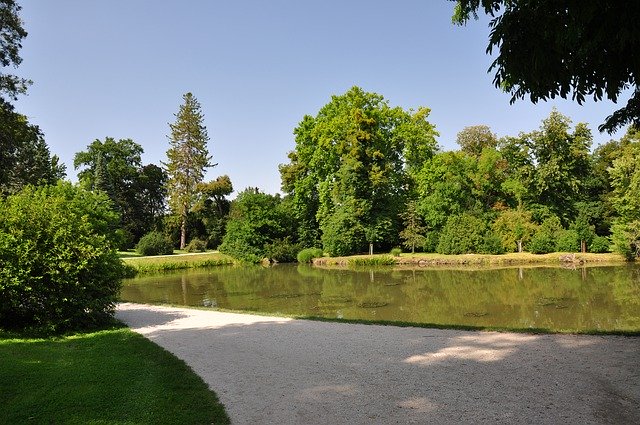 Baixe grátis Park Pond Water - foto ou imagem grátis para ser editada com o editor de imagens online GIMP