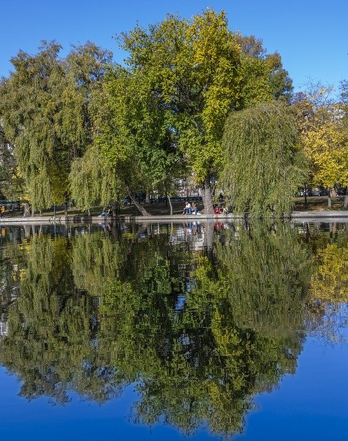 Bezpłatne pobieranie Park Reflection Lake - bezpłatne zdjęcie lub obraz do edycji za pomocą internetowego edytora obrazów GIMP