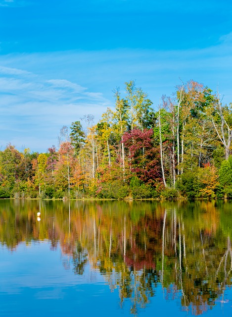 Free download park reflection water trees autumn free picture to be edited with GIMP free online image editor