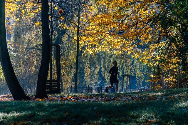 Ücretsiz indir park runner orman jog sporları ücretsiz resmi GIMP ücretsiz çevrimiçi resim düzenleyiciyle düzenlenecek