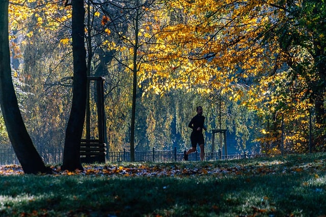 Free download park runner forest jog sports free picture to be edited with GIMP free online image editor