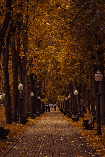 Free download park square flashlight autumn free picture to be edited with GIMP free online image editor