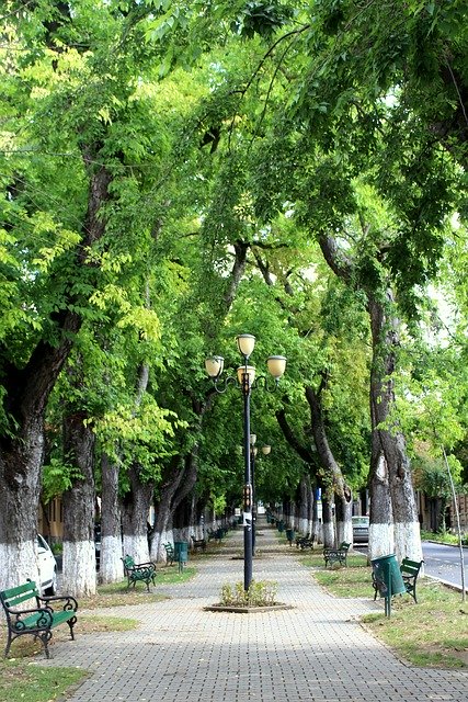Free download Park Targu Mures Romania -  free photo or picture to be edited with GIMP online image editor