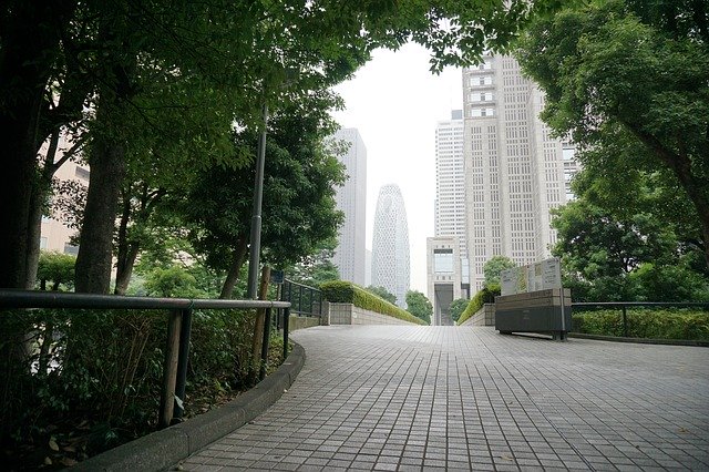 Безкоштовно завантажте Park Trees Green - безкоштовне фото або зображення для редагування за допомогою онлайн-редактора зображень GIMP