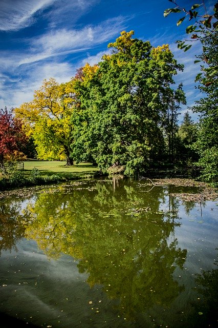 公園の木の反射を無料ダウンロード - GIMP オンライン画像エディターで編集できる無料の写真または画像