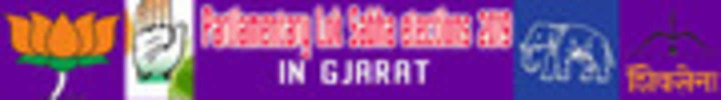Free download parliamentary_lok_sabha_elections_2019_in_gujarat free photo or picture to be edited with GIMP online image editor