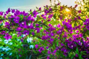 Free download parque oeste free photo or picture to be edited with GIMP online image editor