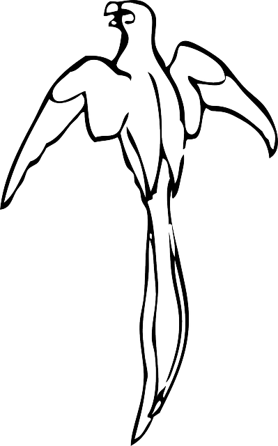 Free download Parrot Bird Flying - Free vector graphic on Pixabay free illustration to be edited with GIMP free online image editor