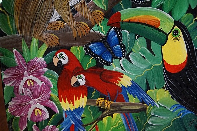 Free download Parrot Birds Colorful -  free illustration to be edited with GIMP free online image editor