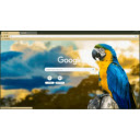 parrot in forest  screen for extension Chrome web store in OffiDocs Chromium