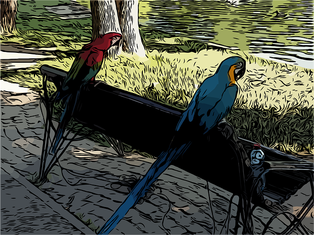 Free download Parrots Bank Park - Free vector graphic on Pixabay free illustration to be edited with GIMP free online image editor