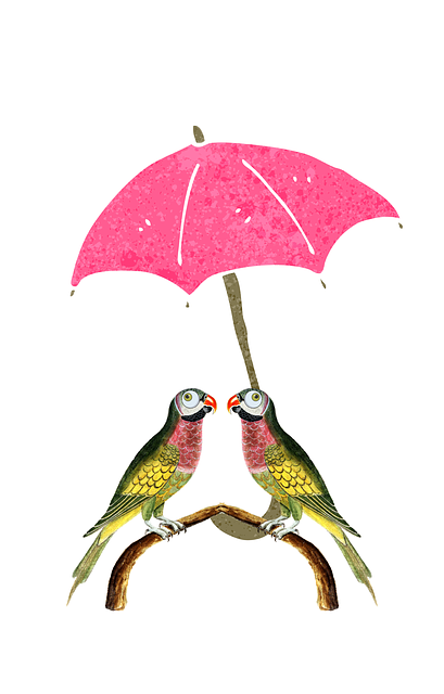 Free download Parrot Social Conversation -  free illustration to be edited with GIMP free online image editor