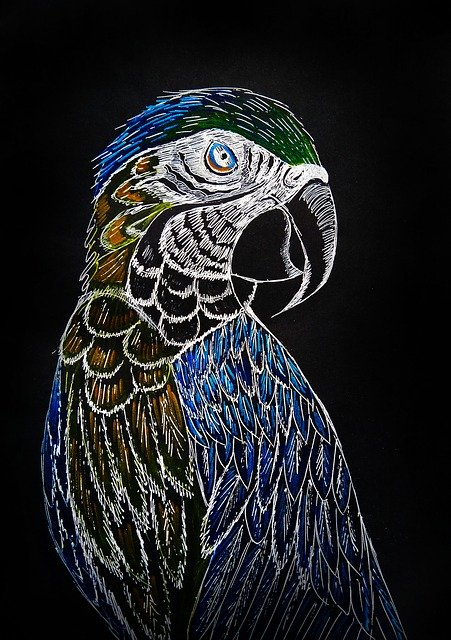 Free download Parrot Tropics Jungle -  free illustration to be edited with GIMP free online image editor