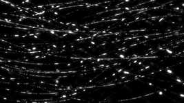 Free download Particles White Background -  free video to be edited with OpenShot online video editor