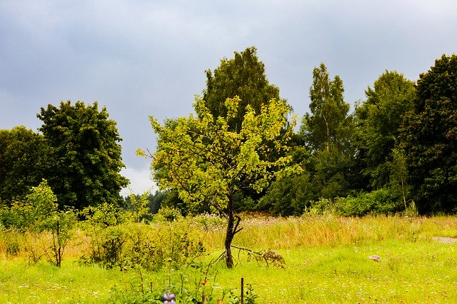 تنزيل مجاني Partly Cloudy Rain Green - صورة مجانية أو صورة يمكن تحريرها باستخدام محرر الصور عبر الإنترنت GIMP