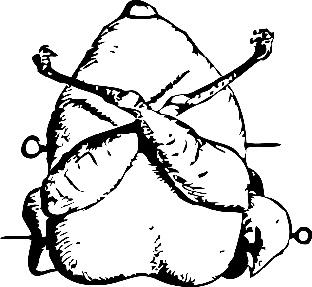 Bezpłatne pobieranie Kuropatwa Drób Ptak - Darmowa grafika wektorowa na Pixabay darmowa ilustracja do edycji za pomocą darmowego edytora obrazów online GIMP