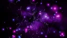 Free download Party Confetti Celebration -  free video to be edited with OpenShot online video editor