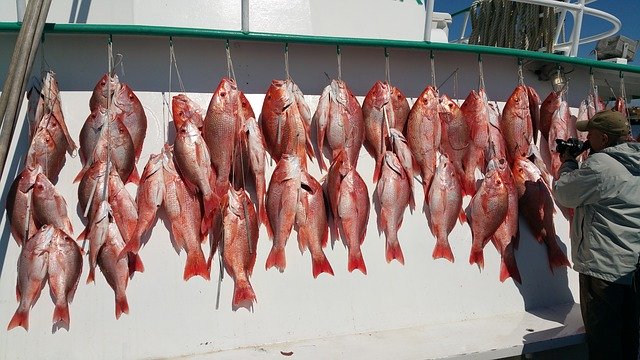 Bezpłatne pobieranie Party Fishing Boat - bezpłatne zdjęcie lub obraz do edycji za pomocą internetowego edytora obrazów GIMP