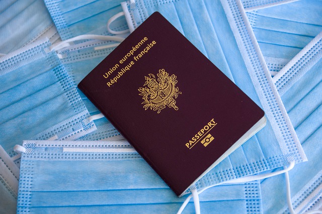 Free download passport covid 19 masks face masks free picture to be edited with GIMP free online image editor