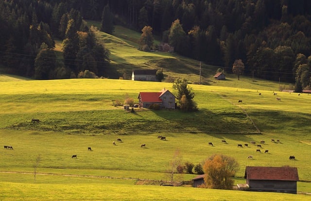 Free download pasture meadow grazing alpine free picture to be edited with GIMP free online image editor