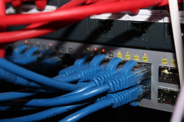 Free download Patch Panel Cat 6 Lead -  free photo or picture to be edited with GIMP online image editor