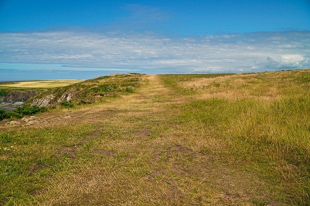 Téléchargement gratuit de Path Fields Coast - photo ou image gratuite à éditer avec l'éditeur d'images en ligne GIMP