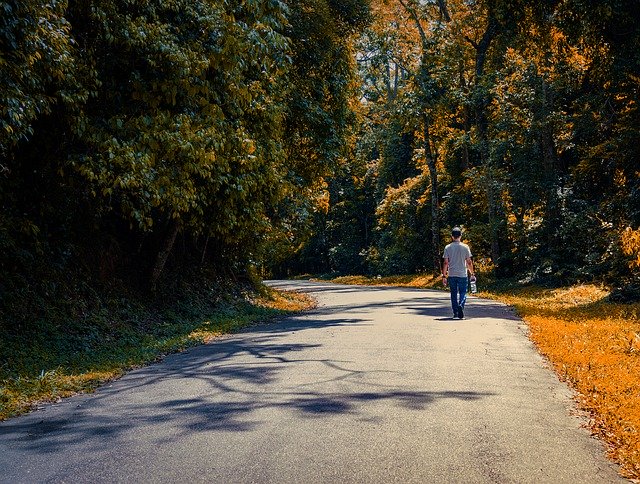 Descărcare gratuită Path Florest Walk In Road - fotografie sau imagini gratuite pentru a fi editate cu editorul de imagini online GIMP