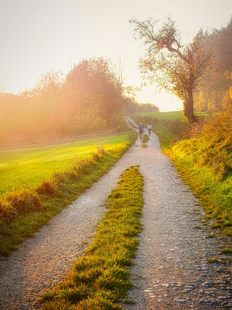 Free download path landscape sunset road nature free picture to be edited with GIMP free online image editor