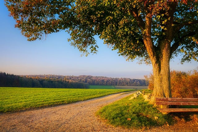 Free download path meadow autumn landscape free picture to be edited with GIMP free online image editor