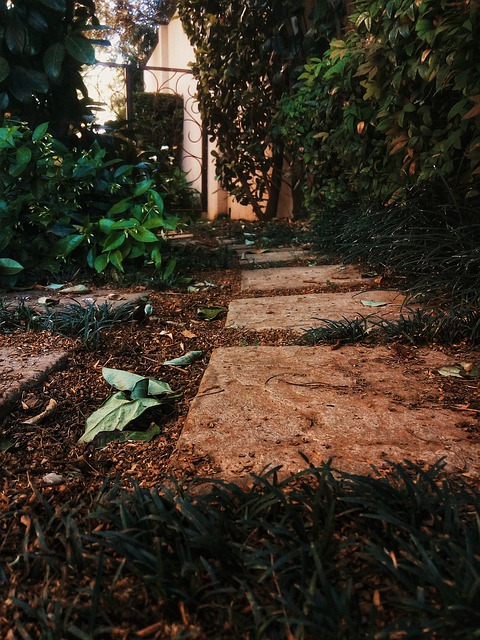 Free download path nature pl trail landscape free picture to be edited with GIMP free online image editor