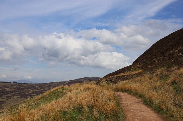 Безкоштовно завантажте Path Nature Trail — безкоштовну фотографію чи зображення для редагування за допомогою онлайн-редактора зображень GIMP