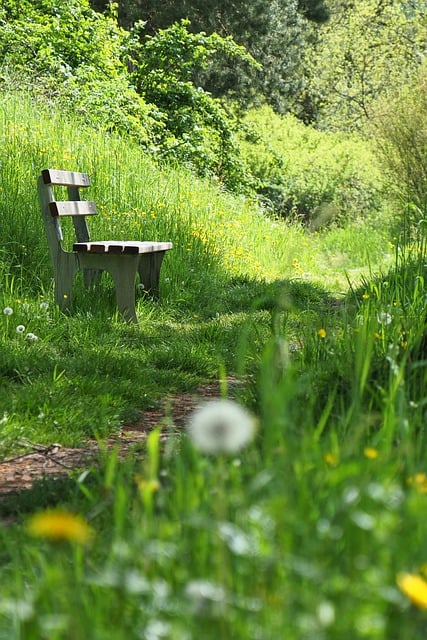 Free download path park bench spring walk free picture to be edited with GIMP free online image editor