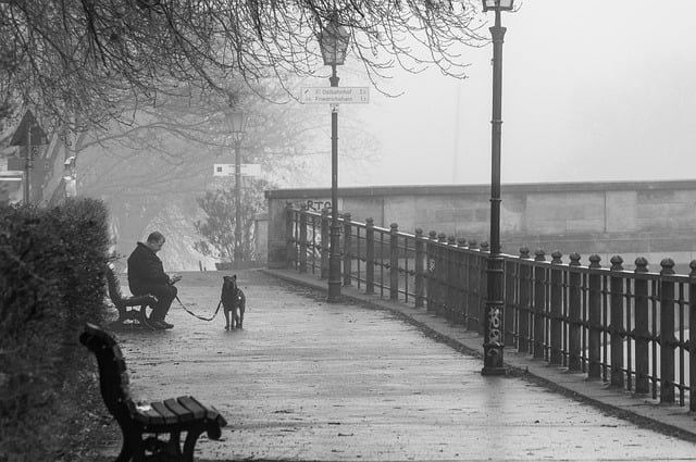 Free download path road fog gray haze city free picture to be edited with GIMP free online image editor