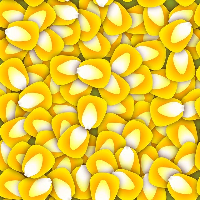 Free download Pattern Background Corn Kernels -  free illustration to be edited with GIMP free online image editor