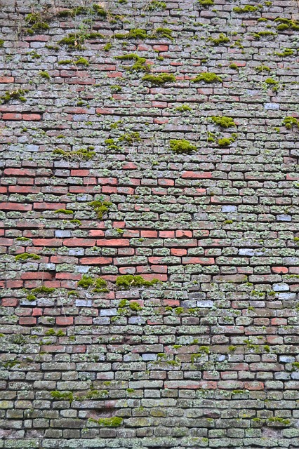 Free download pattern brick nature green pl free picture to be edited with GIMP free online image editor