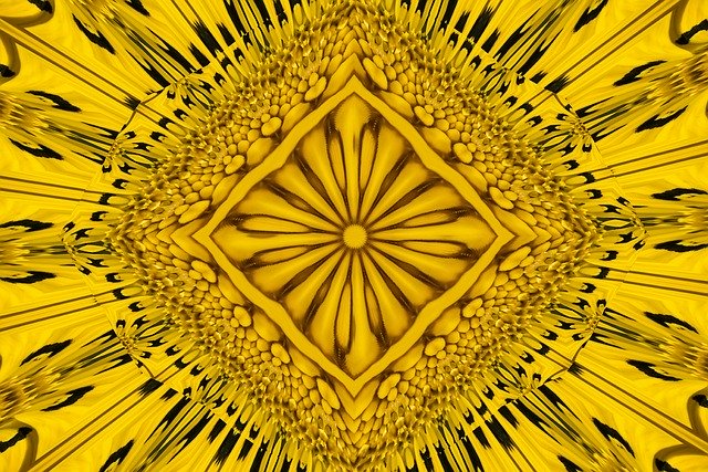 Free download Pattern Petals Pipes -  free illustration to be edited with GIMP free online image editor