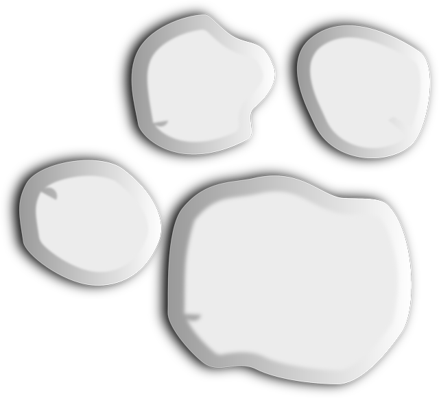 Free download Paw Footprint Animal - Free vector graphic on Pixabay free illustration to be edited with GIMP free online image editor