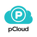 pCloud Save  screen for extension Chrome web store in OffiDocs Chromium